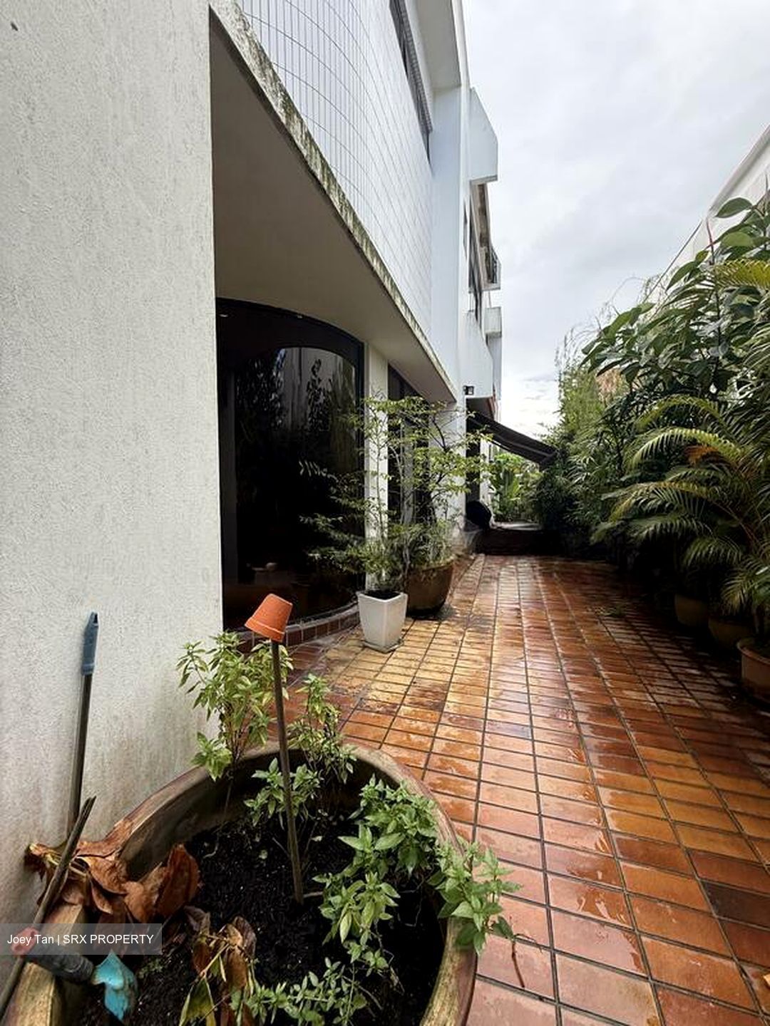 Springleaf Garden (D26), Semi-Detached #496346281